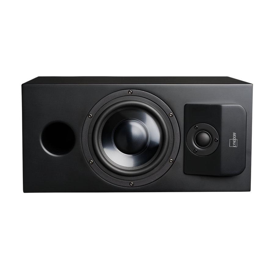 Lyngdorf-CS-1-In-Cabinet-Speaker Lyngdorf CS-1 In-Cabinet Speaker — изображение 1