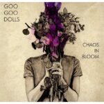 Goo Goo Dolls – Chaos In Bloom LP