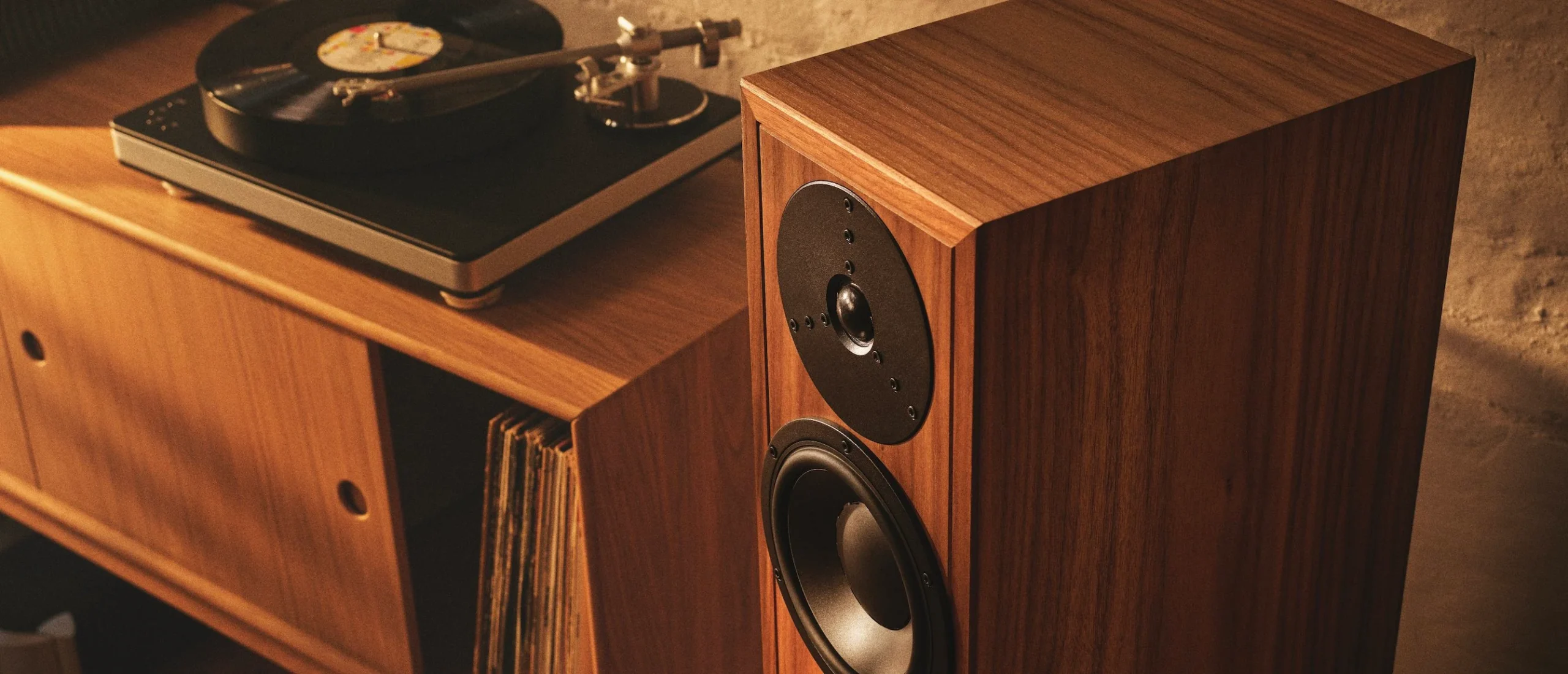 Dynaudio background